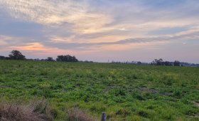 1 ha zona Loteo San Juan - Colón